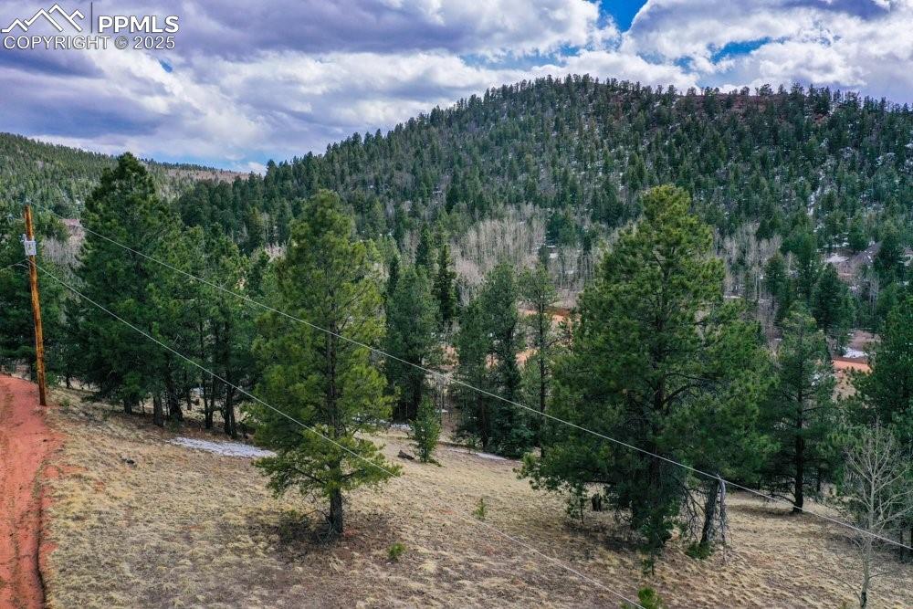 395 Wabash Terrace Cripple Creek CO 80813
