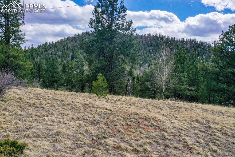 395 Wabash Terrace Cripple Creek CO 80813