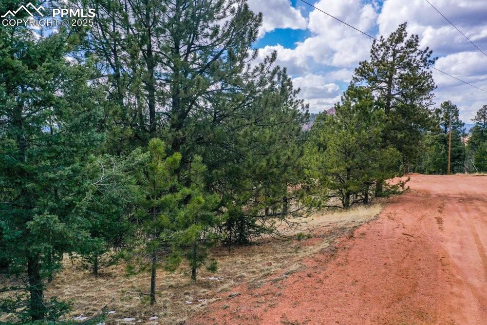 395 Wabash Terrace Cripple Creek CO 80813