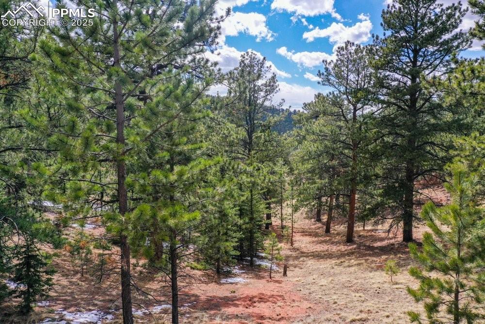 395 Wabash Terrace Cripple Creek CO 80813