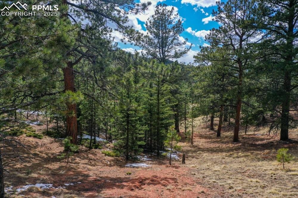 395 Wabash Terrace Cripple Creek CO 80813