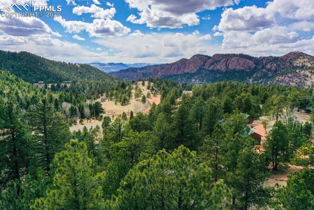 395 Wabash Terrace Cripple Creek CO 80813