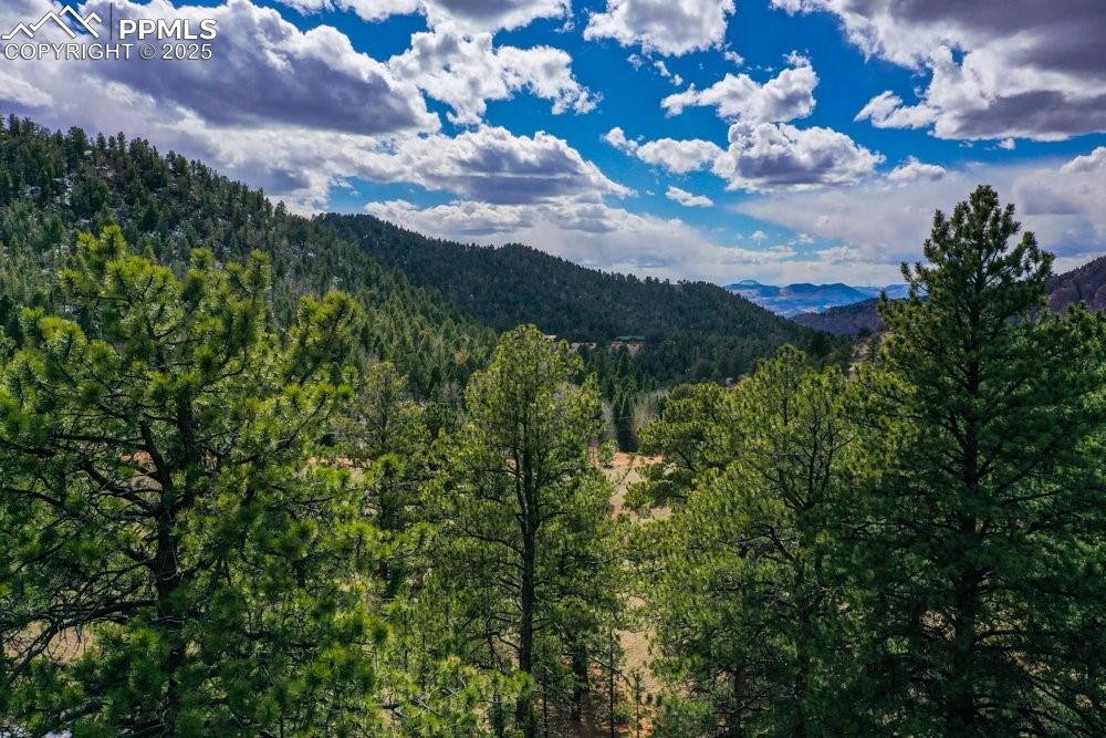 395 Wabash Terrace Cripple Creek CO 80813