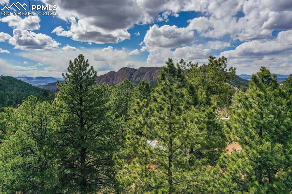 395 Wabash Terrace Cripple Creek CO 80813