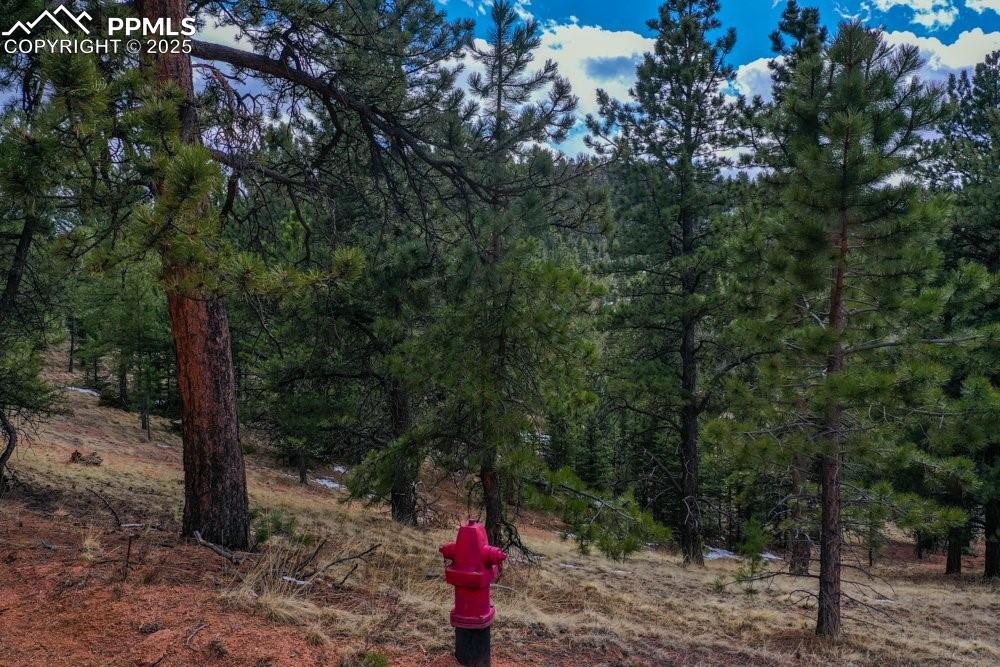 395 Wabash Terrace Cripple Creek CO 80813