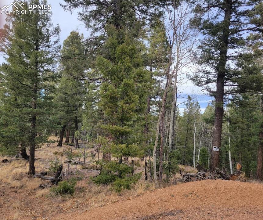 180 Sentinel Way Florissant CO 80816
