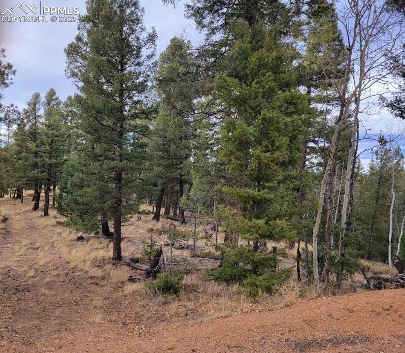 180 Sentinel Way Florissant CO 80816