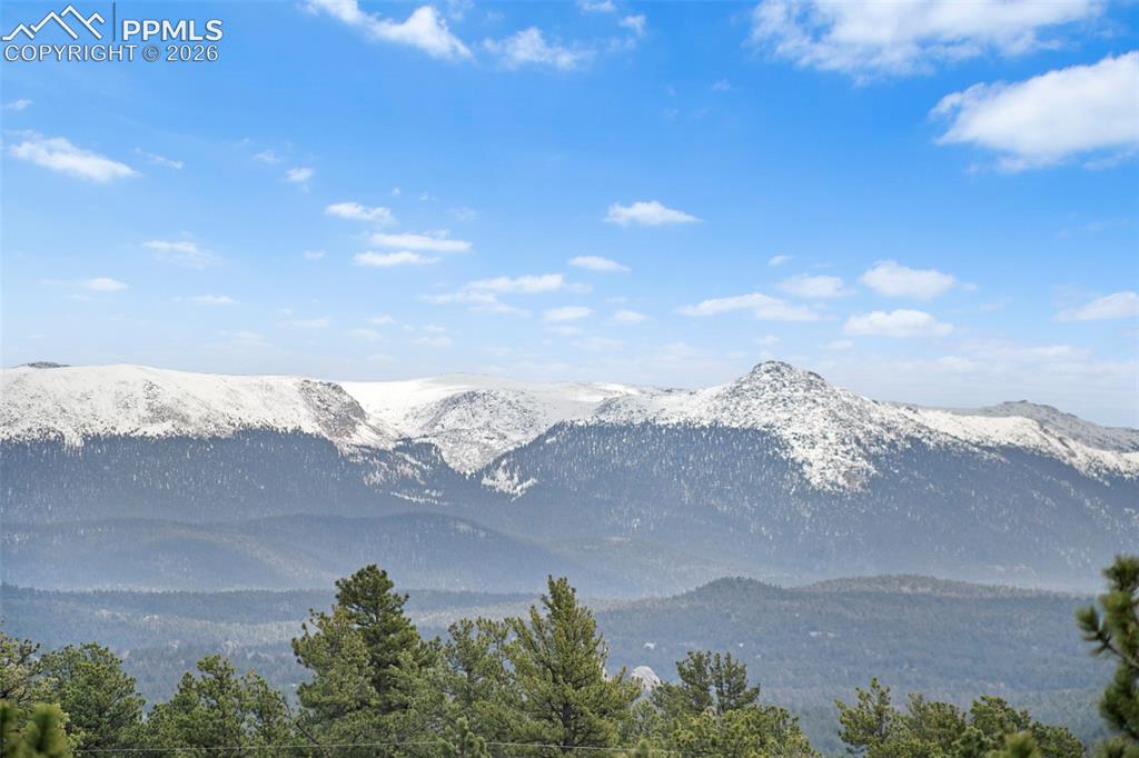 251 County Road 31 Florissant CO 80816