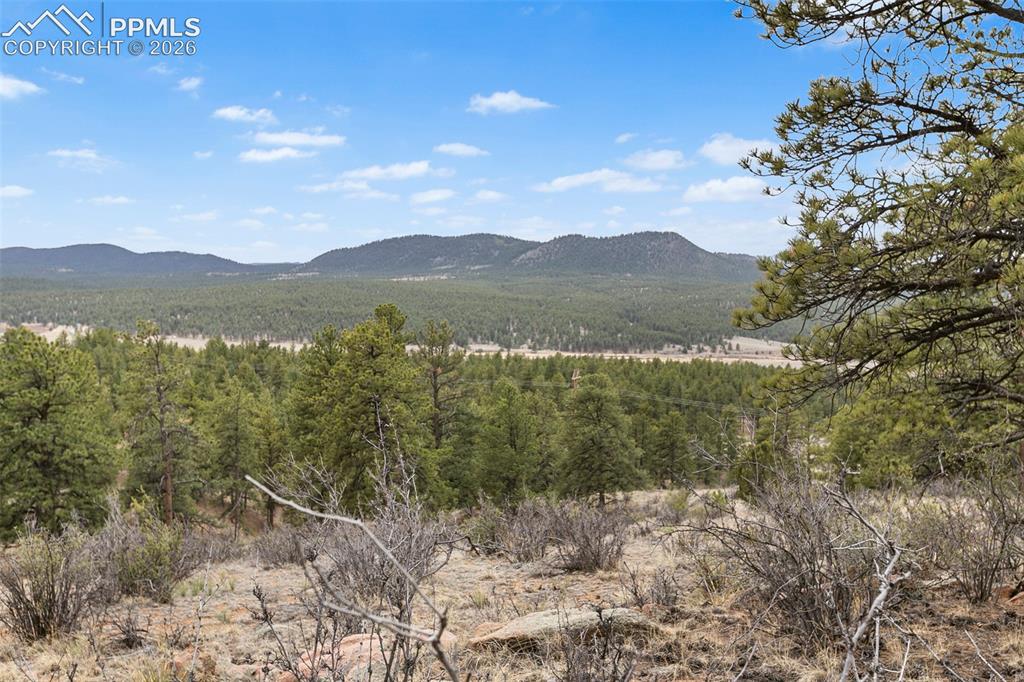 251 County Road 31 Florissant CO 80816