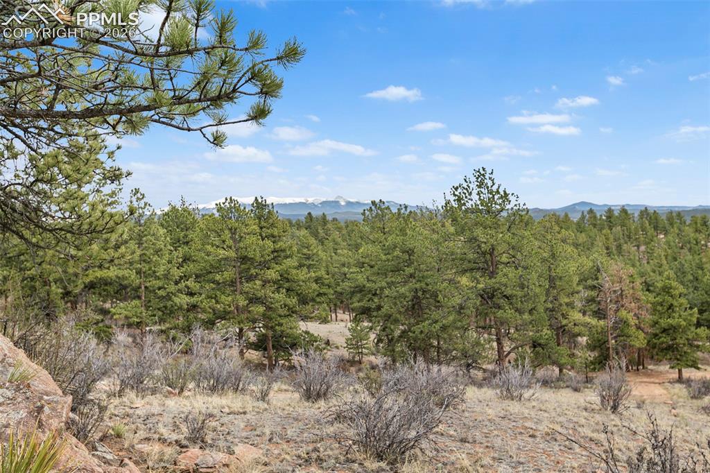 251 County Road 31 Florissant CO 80816