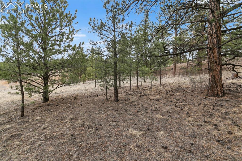 251 County Road 31 Florissant CO 80816