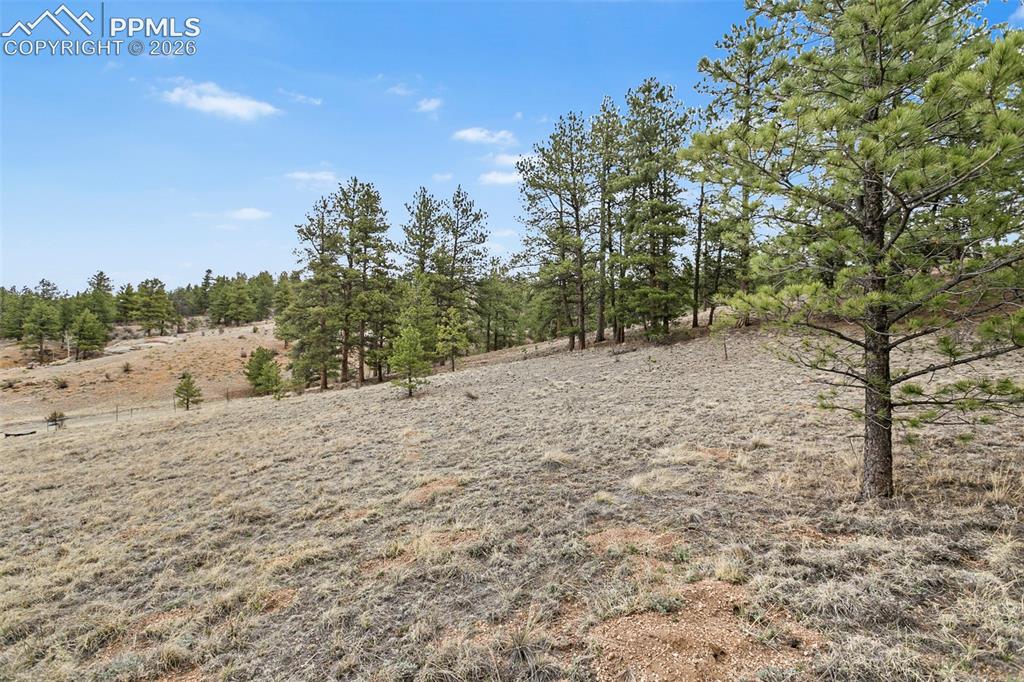 251 County Road 31 Florissant CO 80816