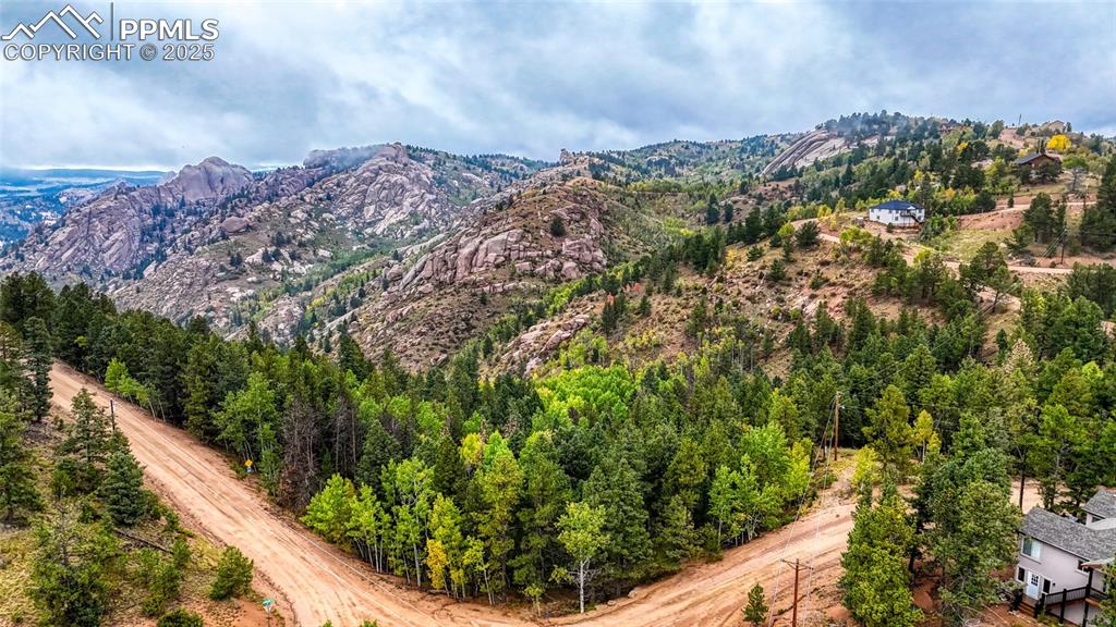 599 Dandy Jim Drive Cripple Creek CO 80813