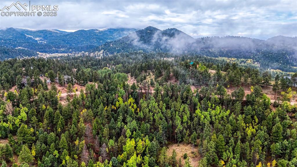 599 Dandy Jim Drive Cripple Creek CO 80813