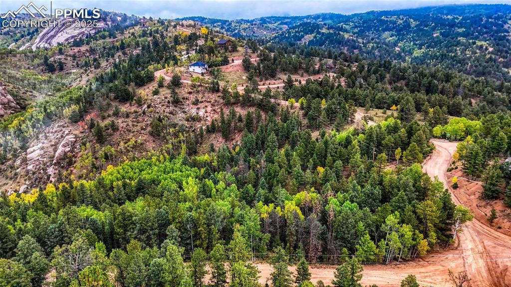 599 Dandy Jim Drive Cripple Creek CO 80813