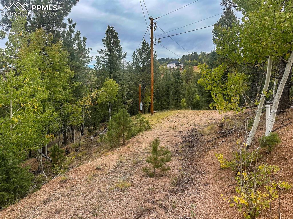 599 Dandy Jim Drive Cripple Creek CO 80813