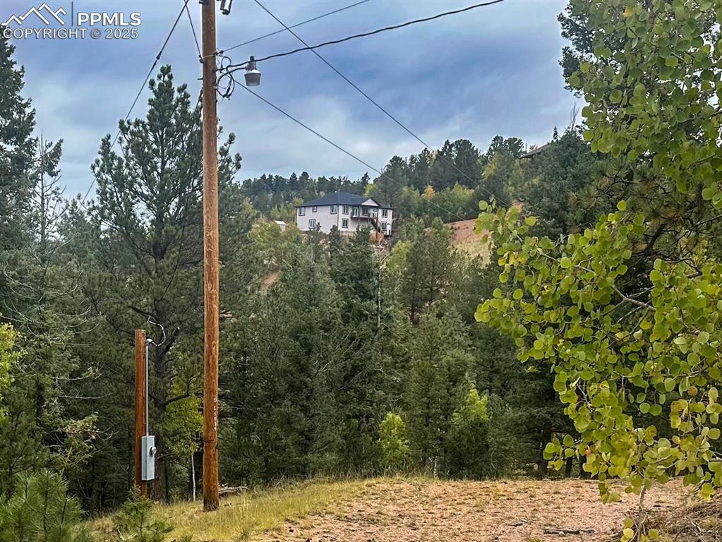 599 Dandy Jim Drive Cripple Creek CO 80813