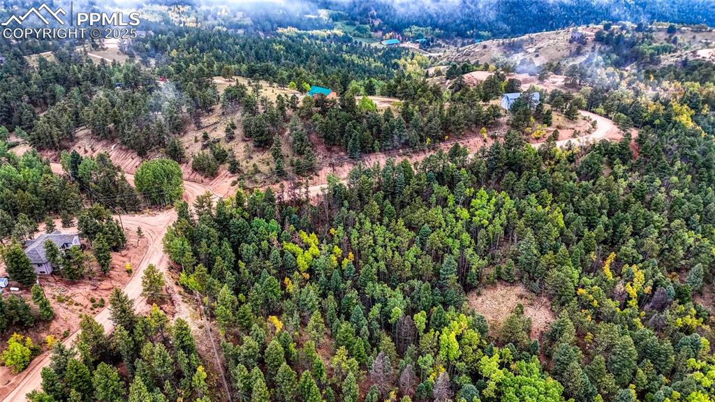 599 Dandy Jim Drive Cripple Creek CO 80813