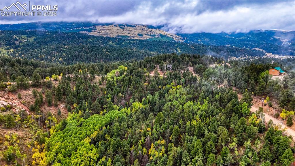 599 Dandy Jim Drive Cripple Creek CO 80813