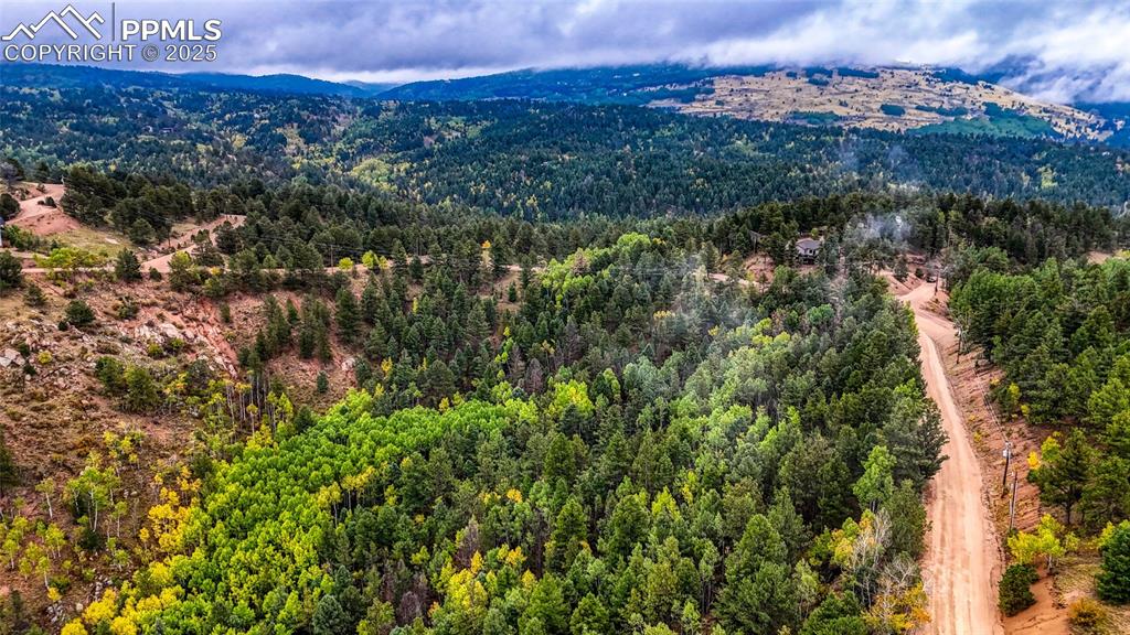 599 Dandy Jim Drive Cripple Creek CO 80813