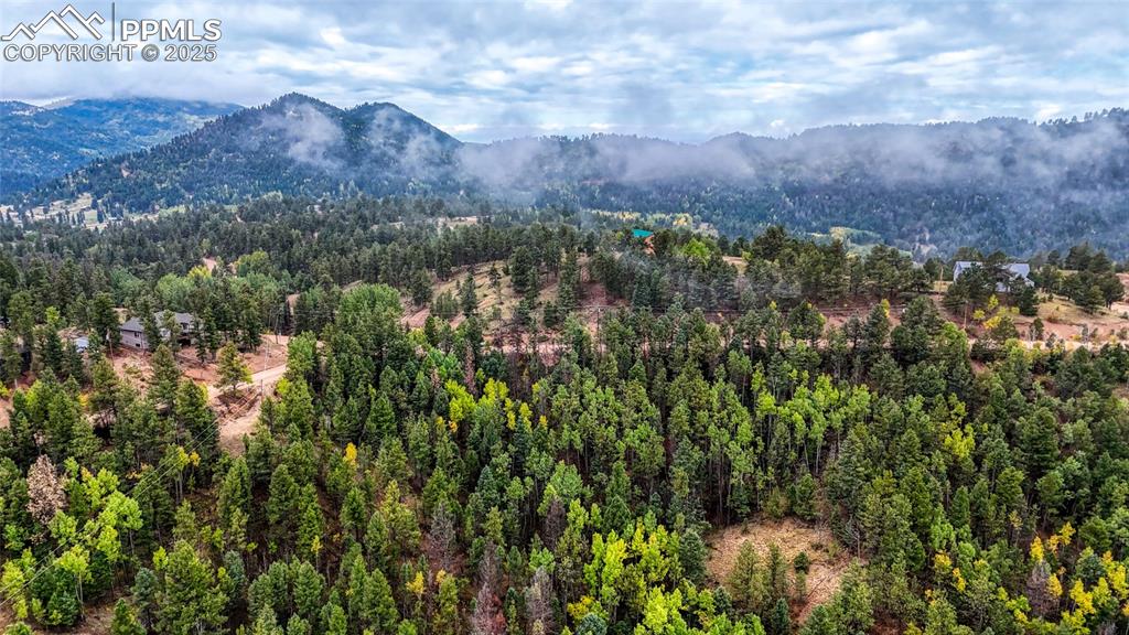599 Dandy Jim Drive Cripple Creek CO 80813