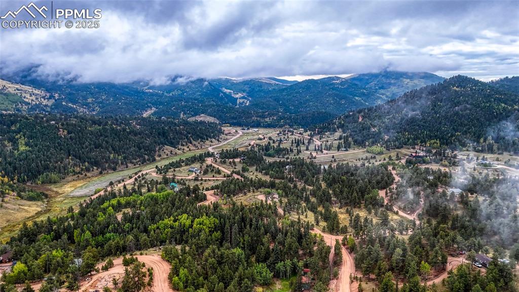 599 Dandy Jim Drive Cripple Creek CO 80813