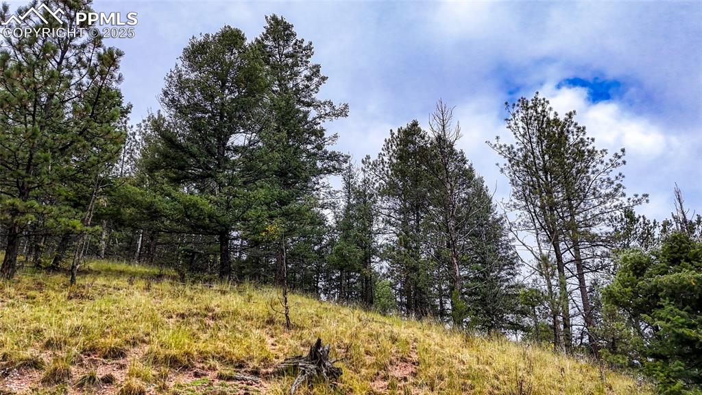 599 Dandy Jim Drive Cripple Creek CO 80813