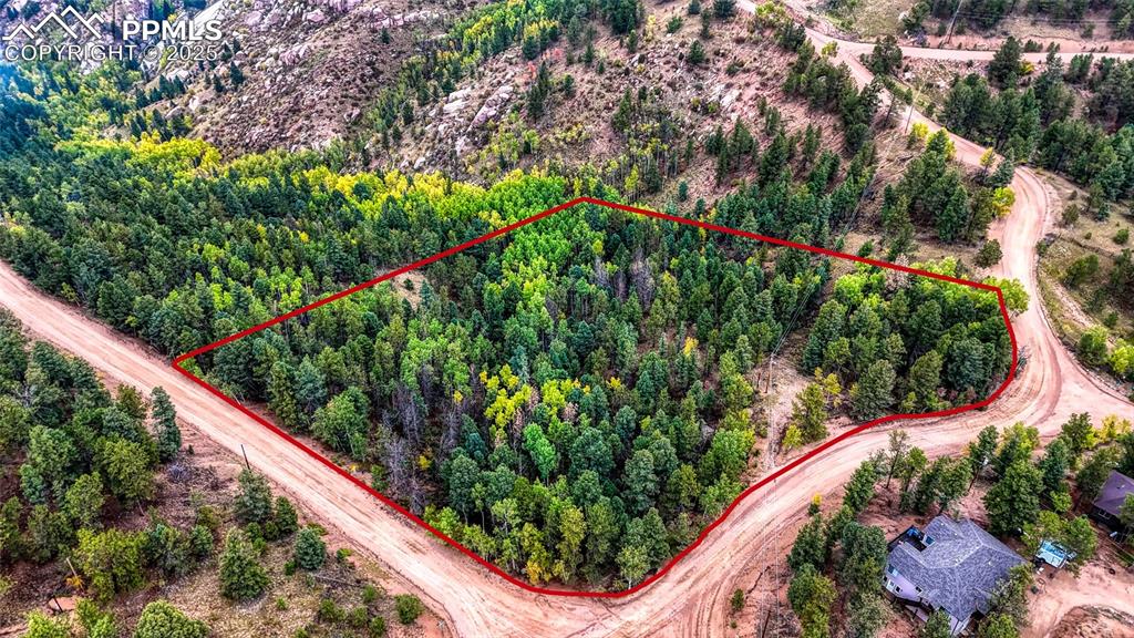 599 Dandy Jim Drive Cripple Creek CO 80813