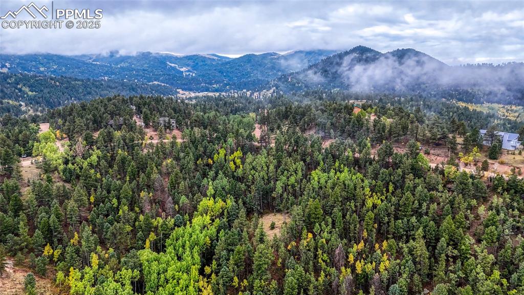599 Dandy Jim Drive Cripple Creek CO 80813