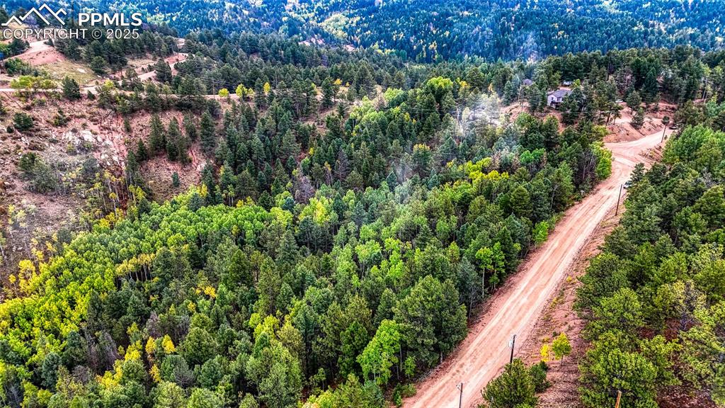 599 Dandy Jim Drive Cripple Creek CO 80813