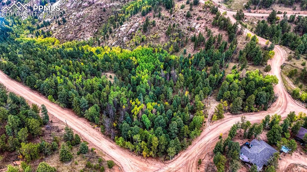 599 Dandy Jim Drive Cripple Creek CO 80813