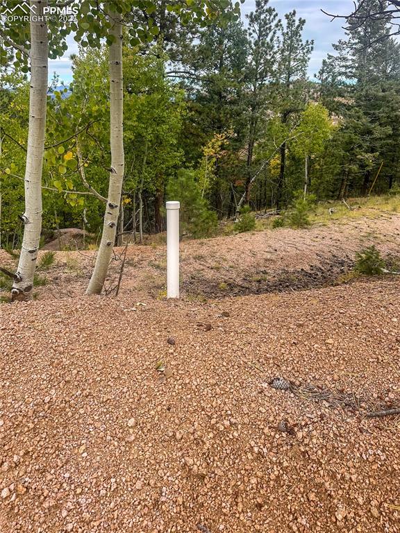 599 Dandy Jim Drive Cripple Creek CO 80813