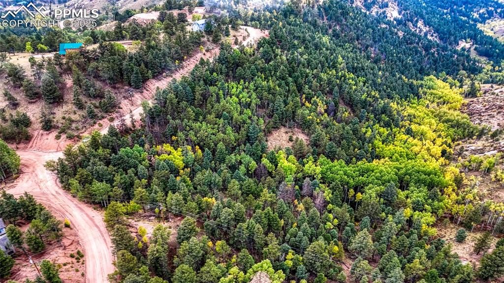 599 Dandy Jim Drive Cripple Creek CO 80813