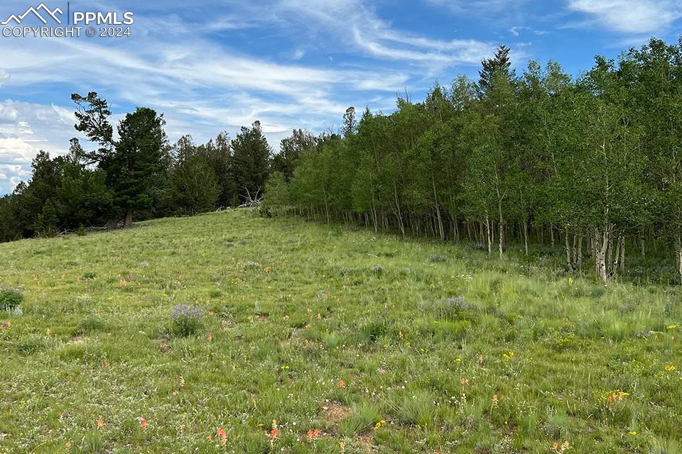 1185 County Road 734 Fairplay CO 80440