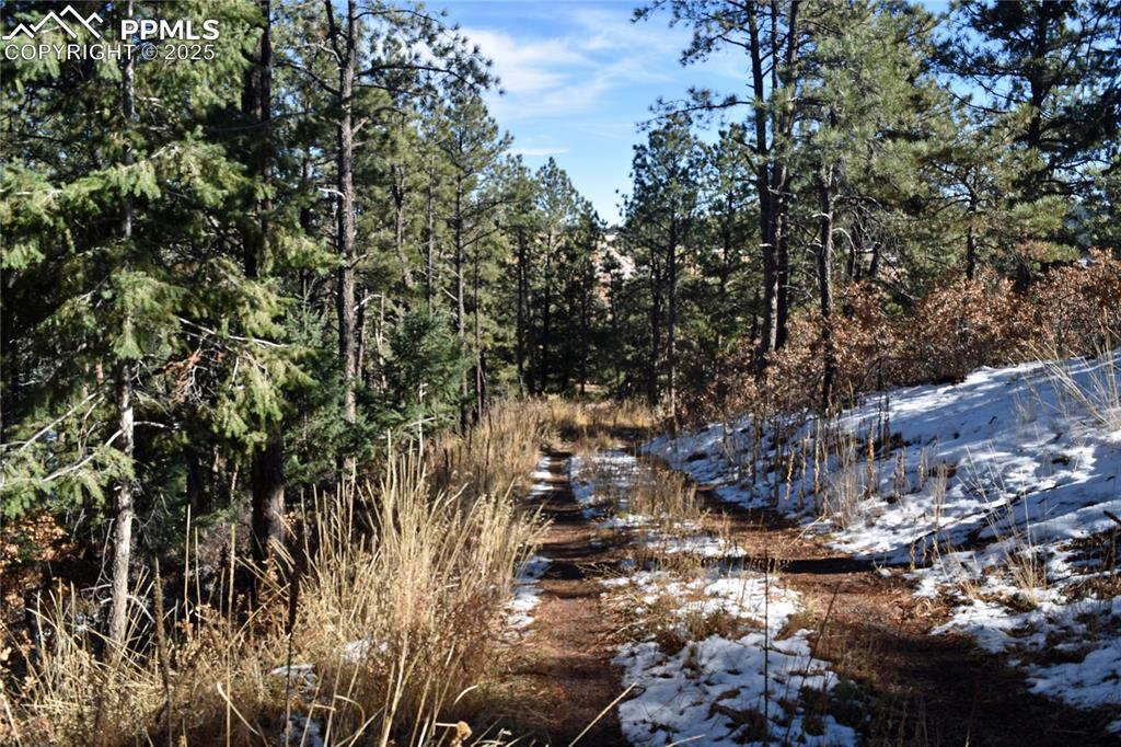 12778 Greenland Acres Road Larkspur CO 80118