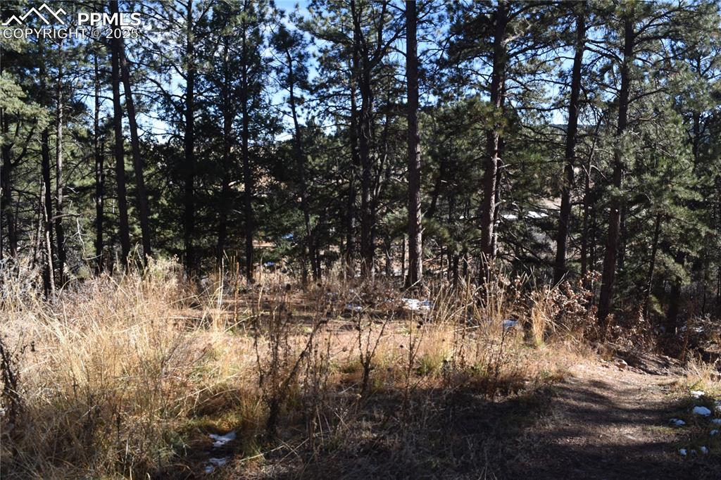 12778 Greenland Acres Road Larkspur CO 80118