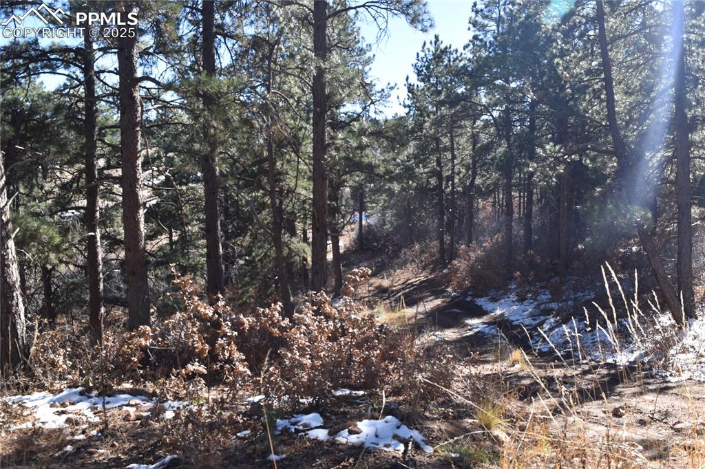 12778 Greenland Acres Road Larkspur CO 80118
