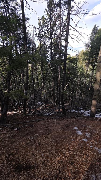 157 Gitchigoomee Trail Woodland Park CO 80863