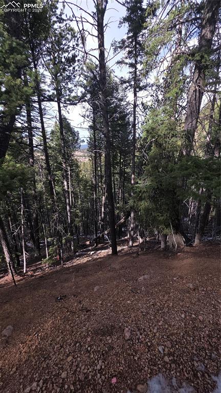 157 Gitchigoomee Trail Woodland Park CO 80863