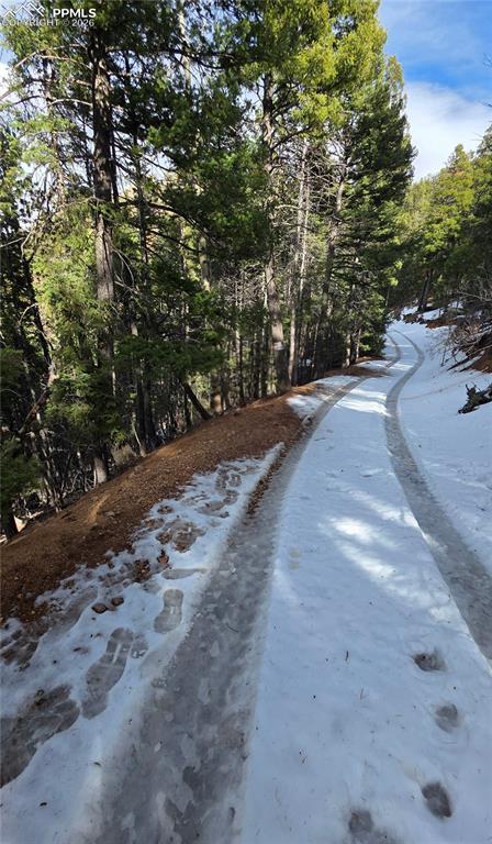 157 Gitchigoomee Trail Woodland Park CO 80863