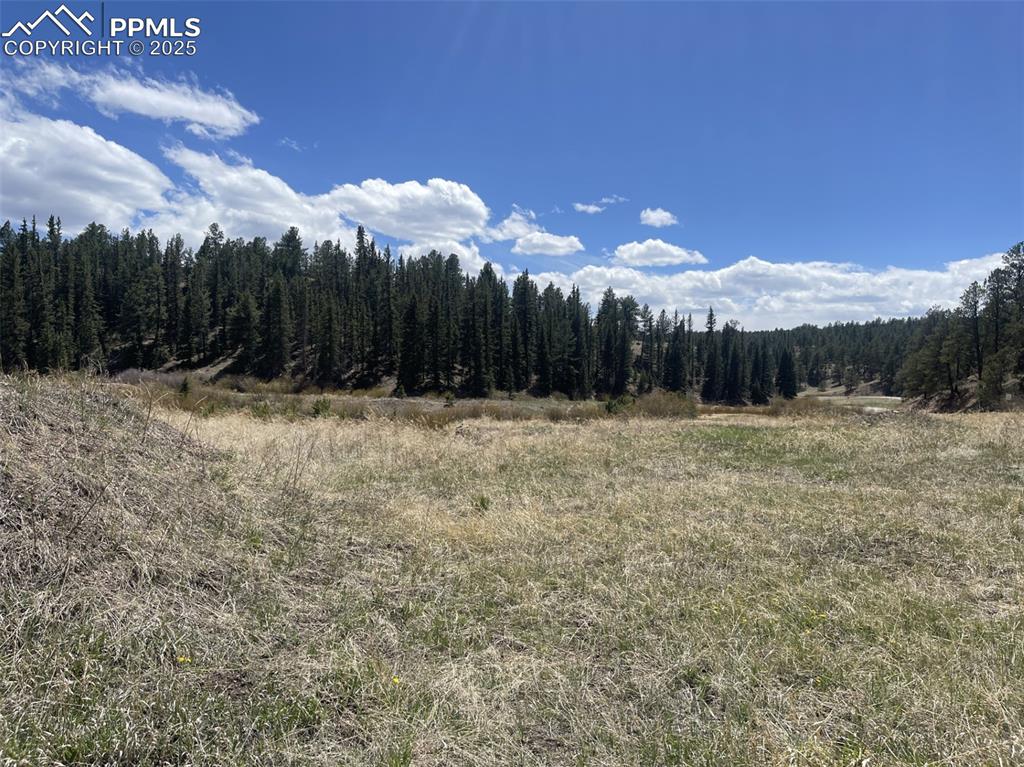 00 Wildhorn Road Florissant CO 80816