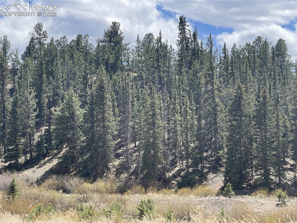 00 Wildhorn Road Florissant CO 80816
