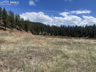 00 Wildhorn Road Florissant CO 80816