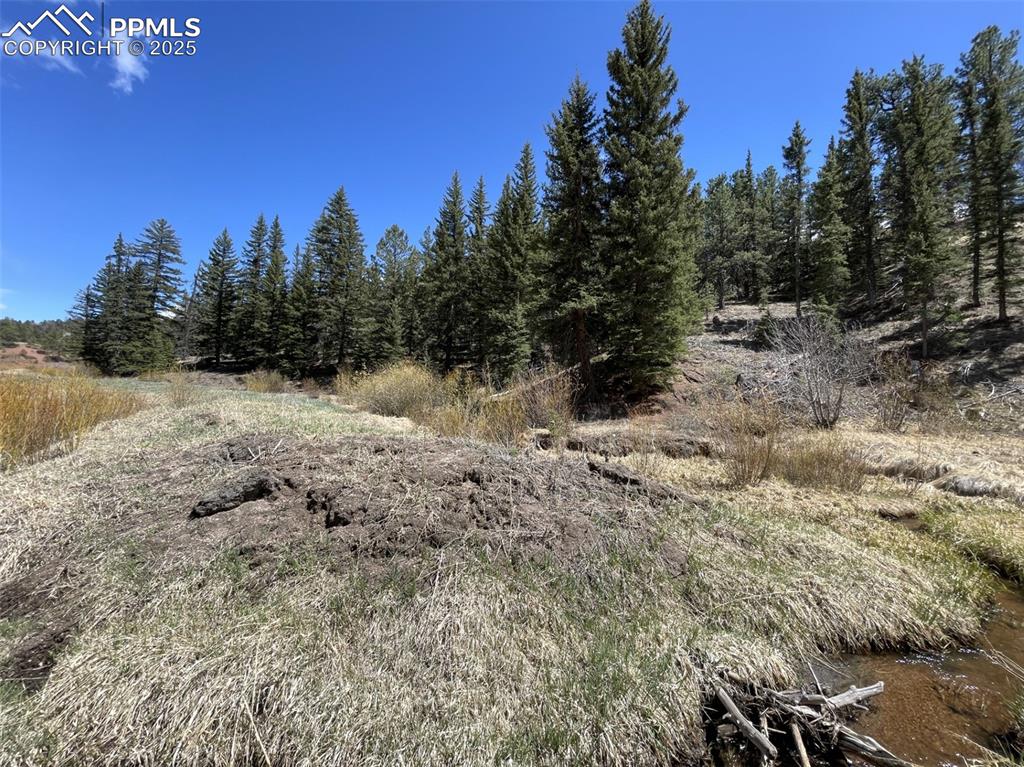 00 Wildhorn Road Florissant CO 80816