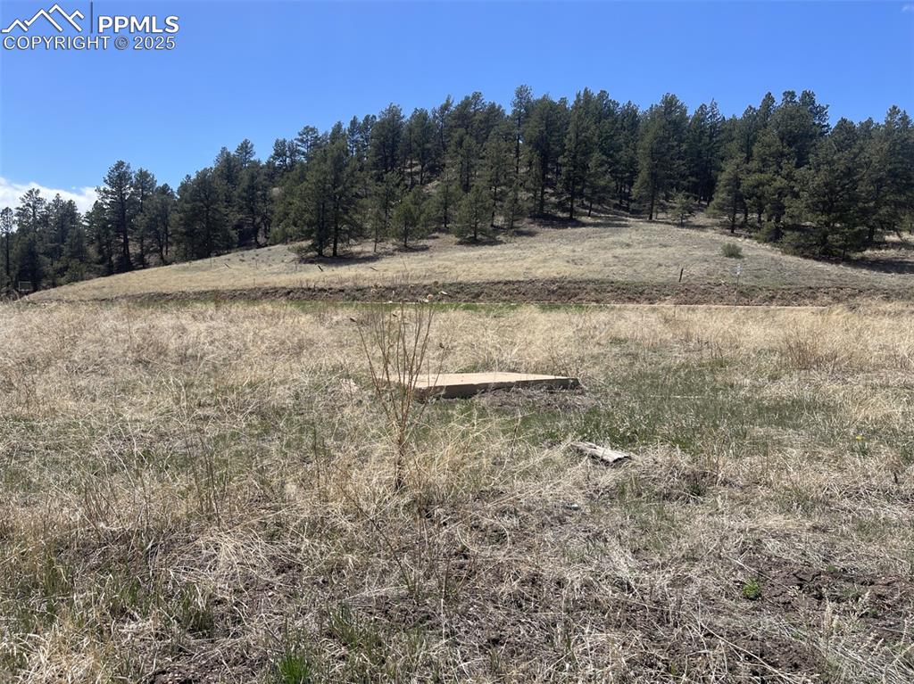 00 Wildhorn Road Florissant CO 80816