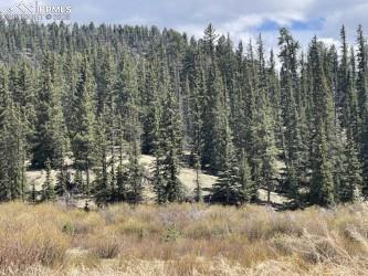 00 Wildhorn Road Florissant CO 80816