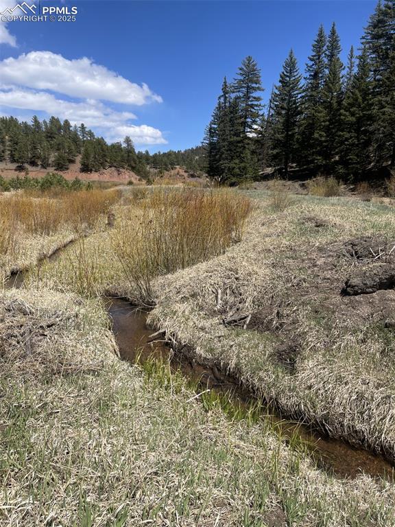 00 Wildhorn Road Florissant CO 80816