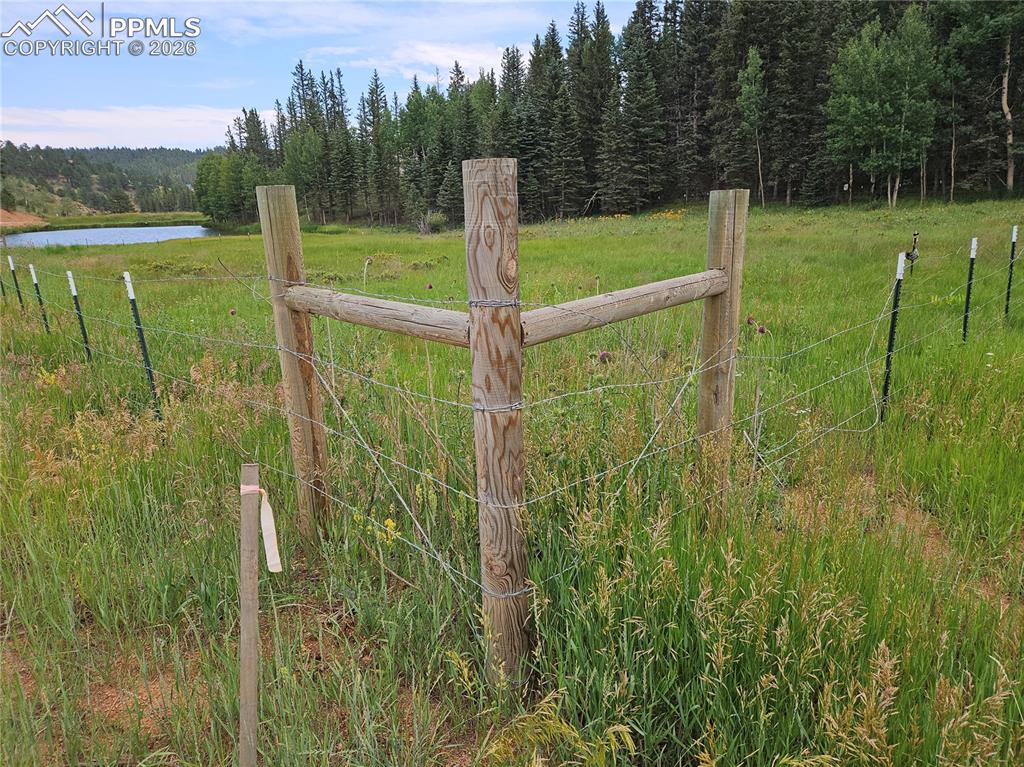 702 Lake Drive Divide CO 80814