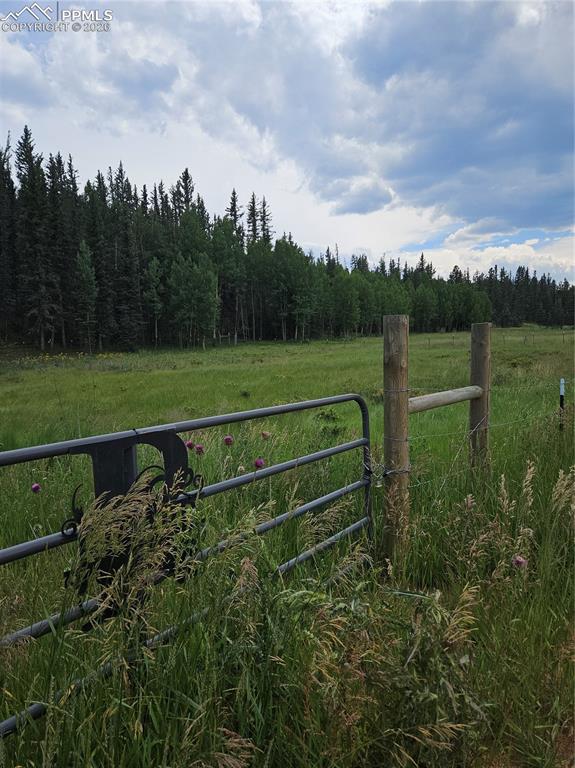 702 Lake Drive Divide CO 80814