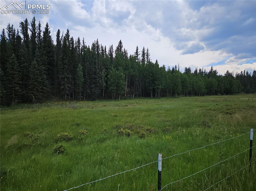 702 Lake Drive Divide CO 80814